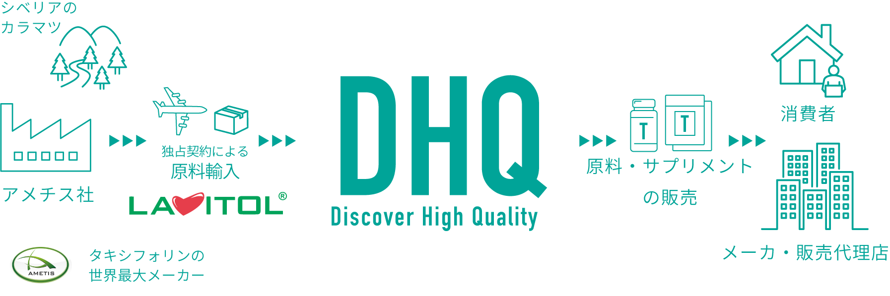 DHQの役割